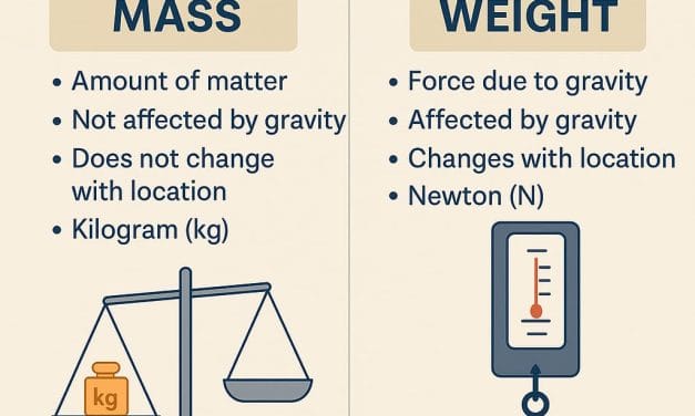 Understanding Mass: Definition, Examples & Why It’s Not the Same as Weight